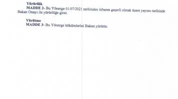 Tek Sorunumuz Negatif Performans Değil | HEKİMSEN