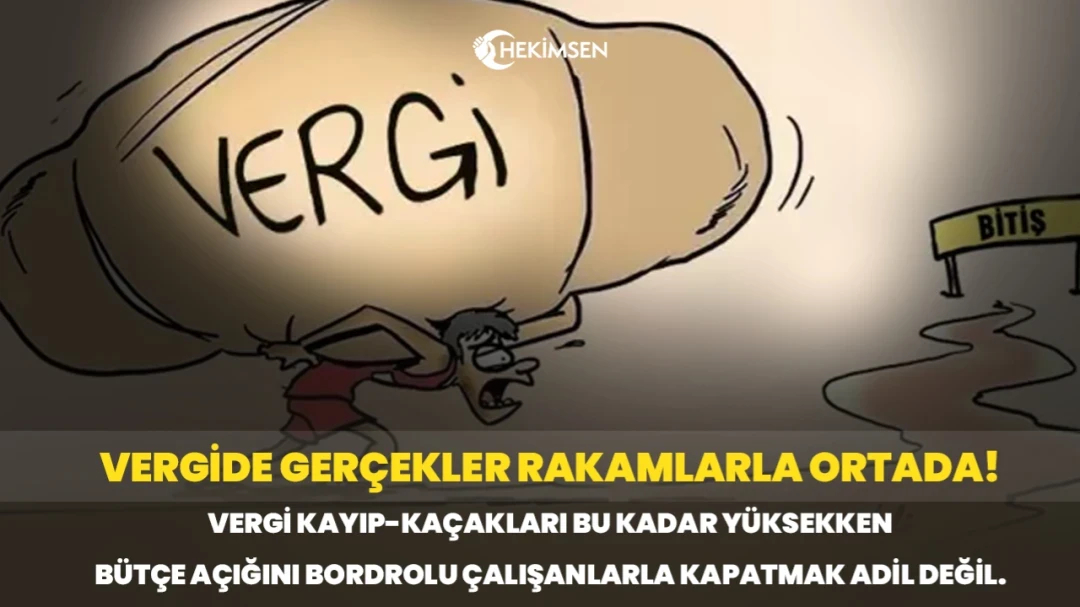 Vergide Gerçekler Rakamlarla Ortada | HEKİMSEN