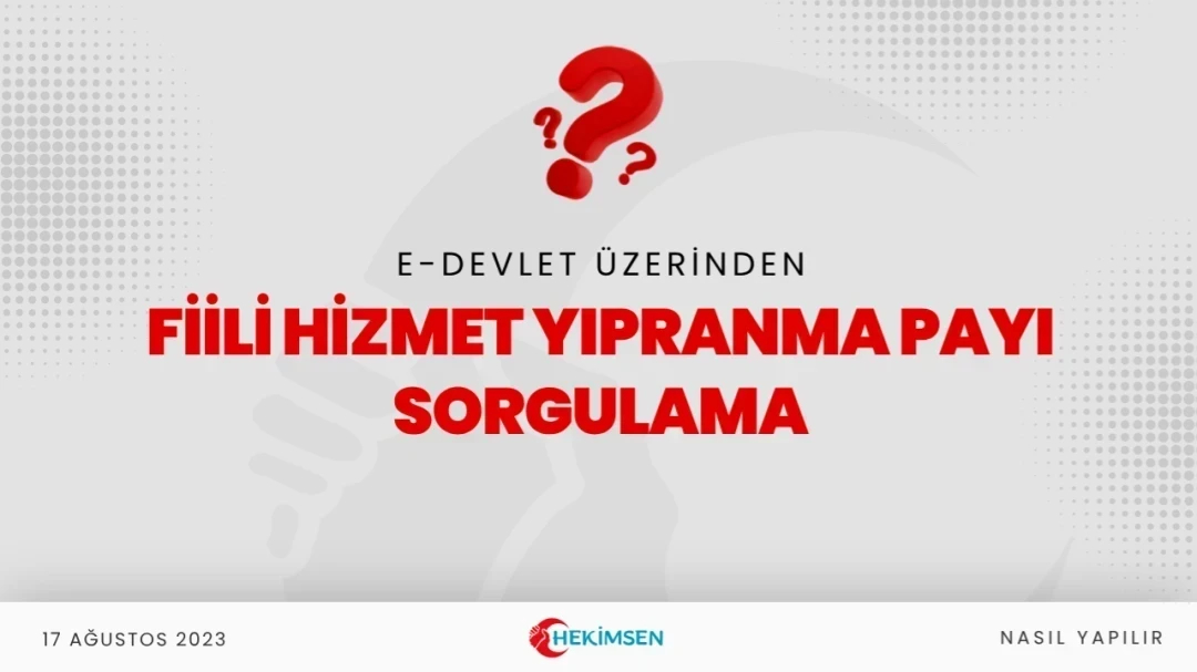 Fiili Hizmet Yıpranma Payı Sorgulama (E-Devlet) | HEKİMSEN