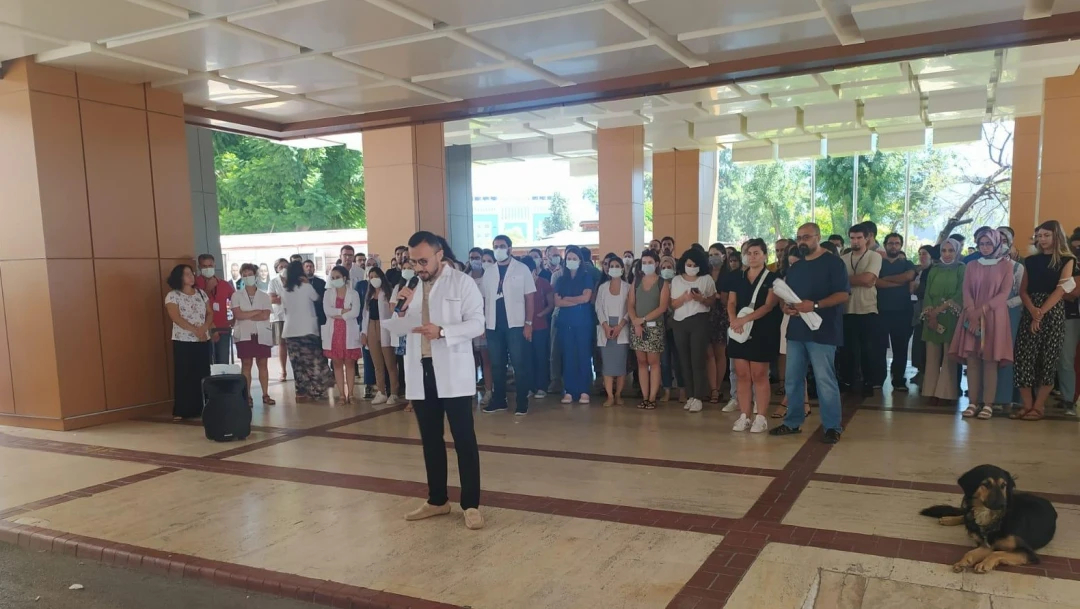 HEKİMSEN Gönderi Görseli Gönderi Görseli